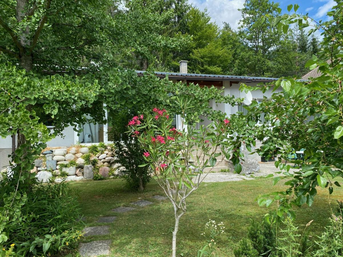 Bungalow Grabner Hermagor-Pressegger See Bagian luar foto